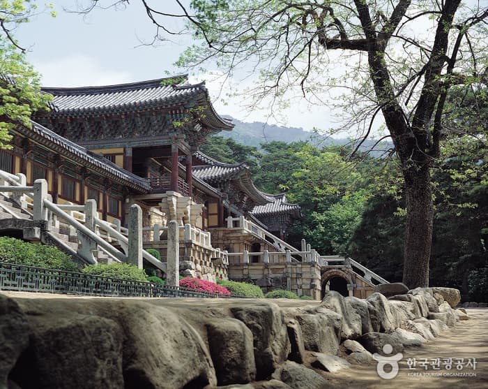 신라의 달밤을 걷는 길, 경주의 백미