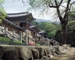 신라의 달밤을 걷는 길, 경주의 백미