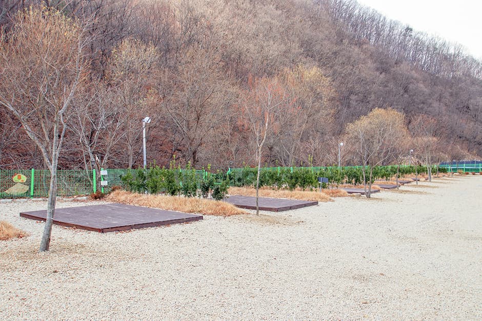 별밤펜션 캠핑장