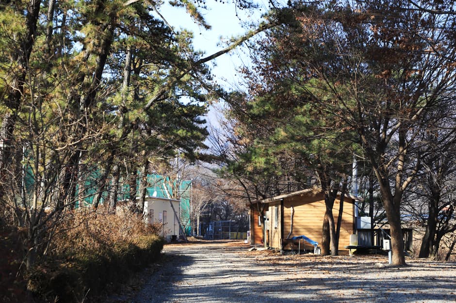 솔밭체육공원오토캠핑장