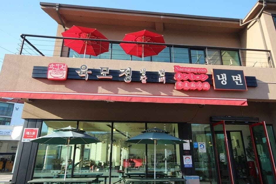 육모정