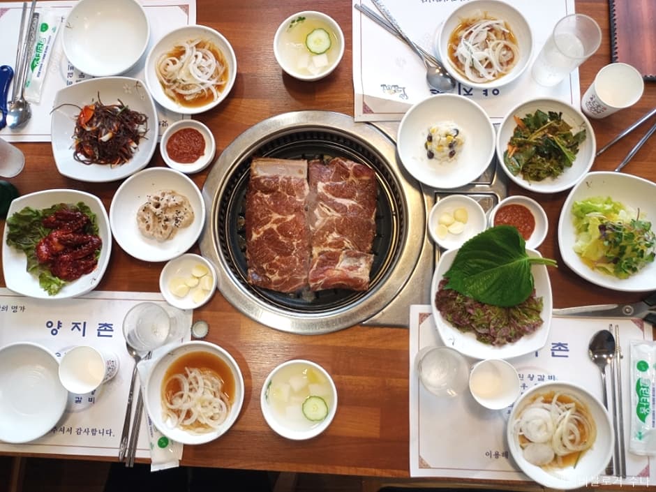 양지촌