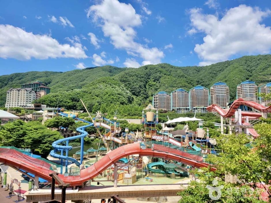 Sono Belle Vivaldi Park Ocean World (소노벨 비발디파크 오션월드)