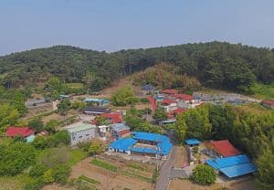 황새마을(서천)