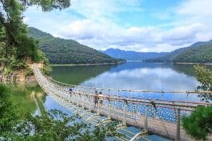 황금빛 출렁다리