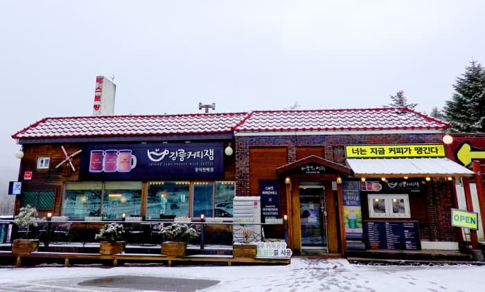 바람의언덕