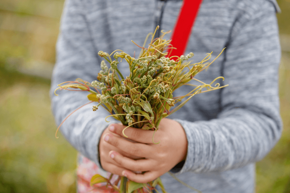 한라산 청정 고사리축제