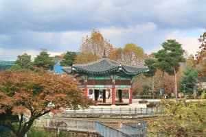 Seoul Children's Grand Park (서울어린이대공원)