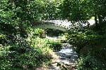 Namwon Recreational Forest (남원자연휴양림)