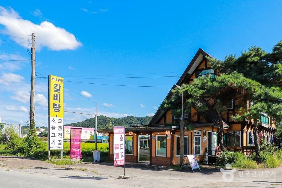 소나무집