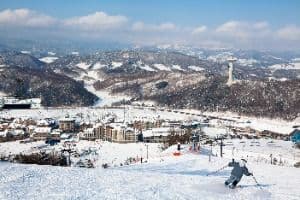 알펜시아리조트 스키장