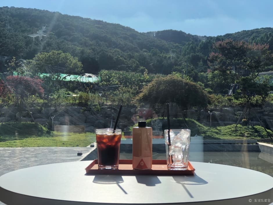 도넛드로잉