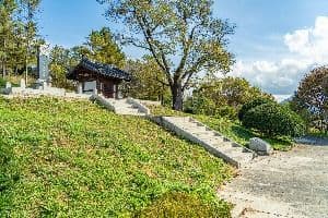 노산성