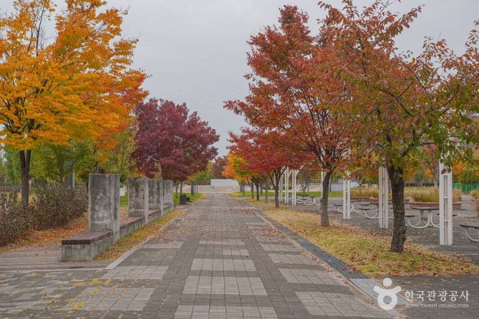 난지한강공원