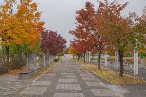 난지한강공원