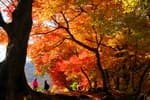 Seonunsan Mountain [National Geopark] (선운산 (전북 서해안 국가지질공원))