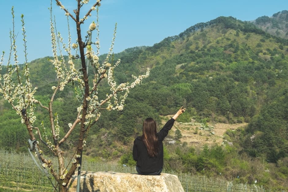 소백명품서클