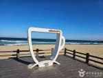 Gangneung Coffee Street (강릉커피거리)