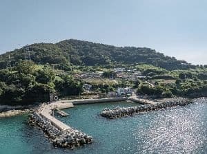 노도