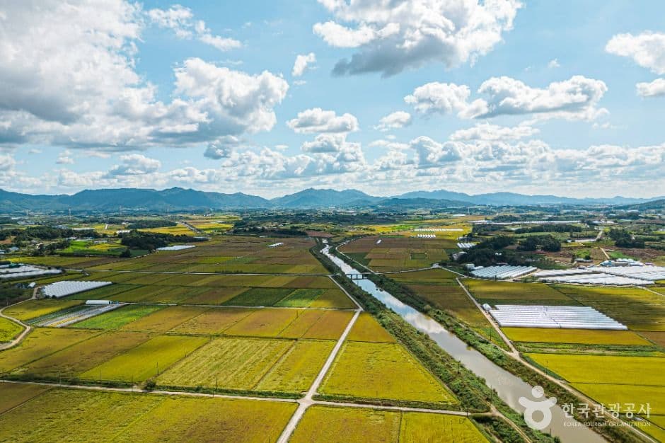 주진천(고창)
