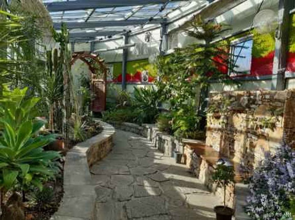 Seoraksan Botanical Garden (설악산 자생식물원)