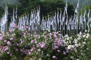 나라꽃 무궁화 대축제