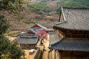 화엄사