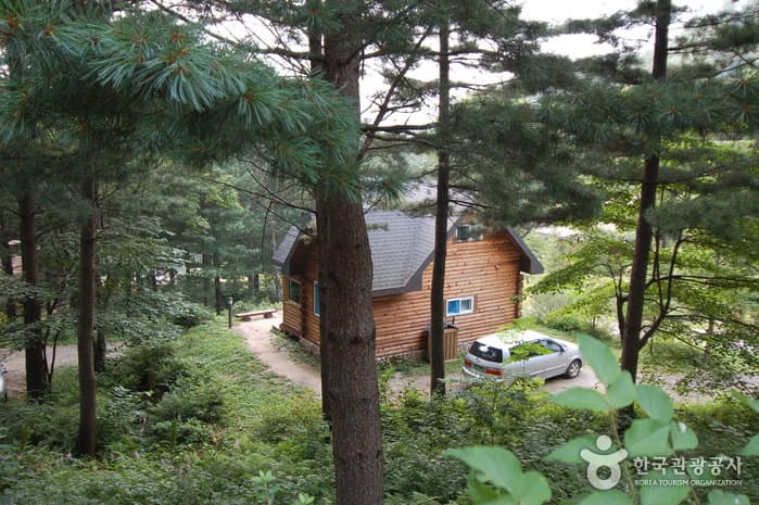 강원도의 자연과 문학여행