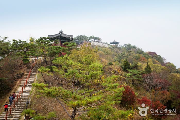 Cheongpung Cultural Heritage Complex (청풍문화재단지)