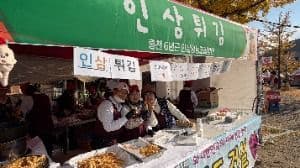 홍천 인삼한우 명품축제