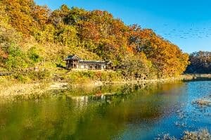 옥천 이지당