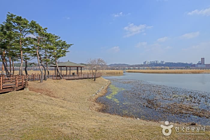 화랑유원지