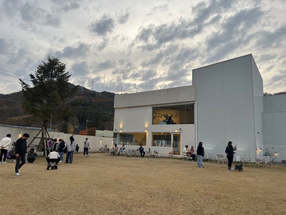멜팅