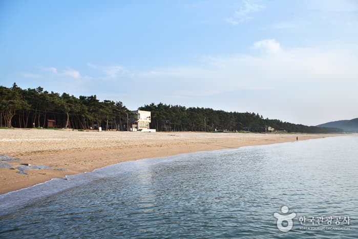 Gosapo Beach (고사포해수욕장)
