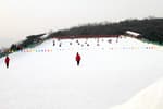 Seoulland Sledding Hills (서울랜드 눈썰매장)