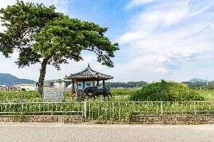 의마총