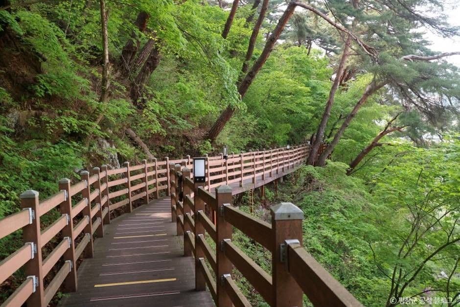 [효석문학100리길 1코스] 문학의 길