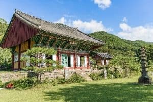 신안사(금산)