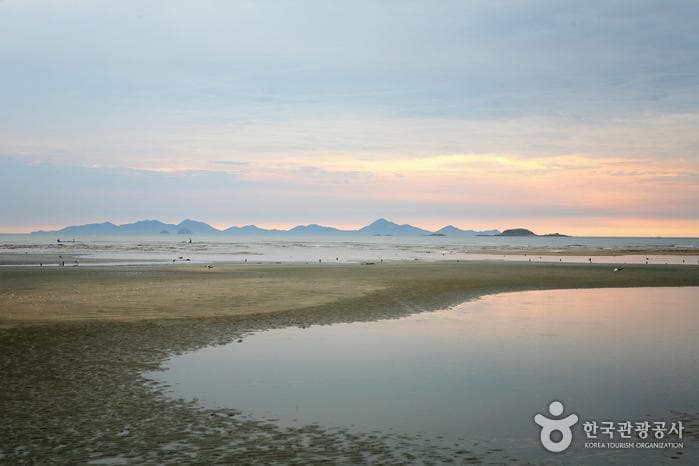 Dongho Beach (동호해수욕장)