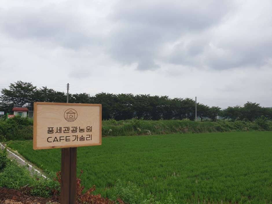 풍세관광농원