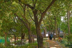 효성공원