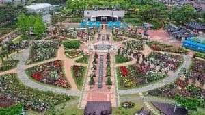 Gokseong International Rose Festival (곡성세계장미축제)