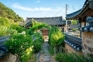 묘골마을