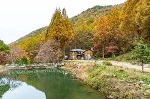 온빛자연휴양림