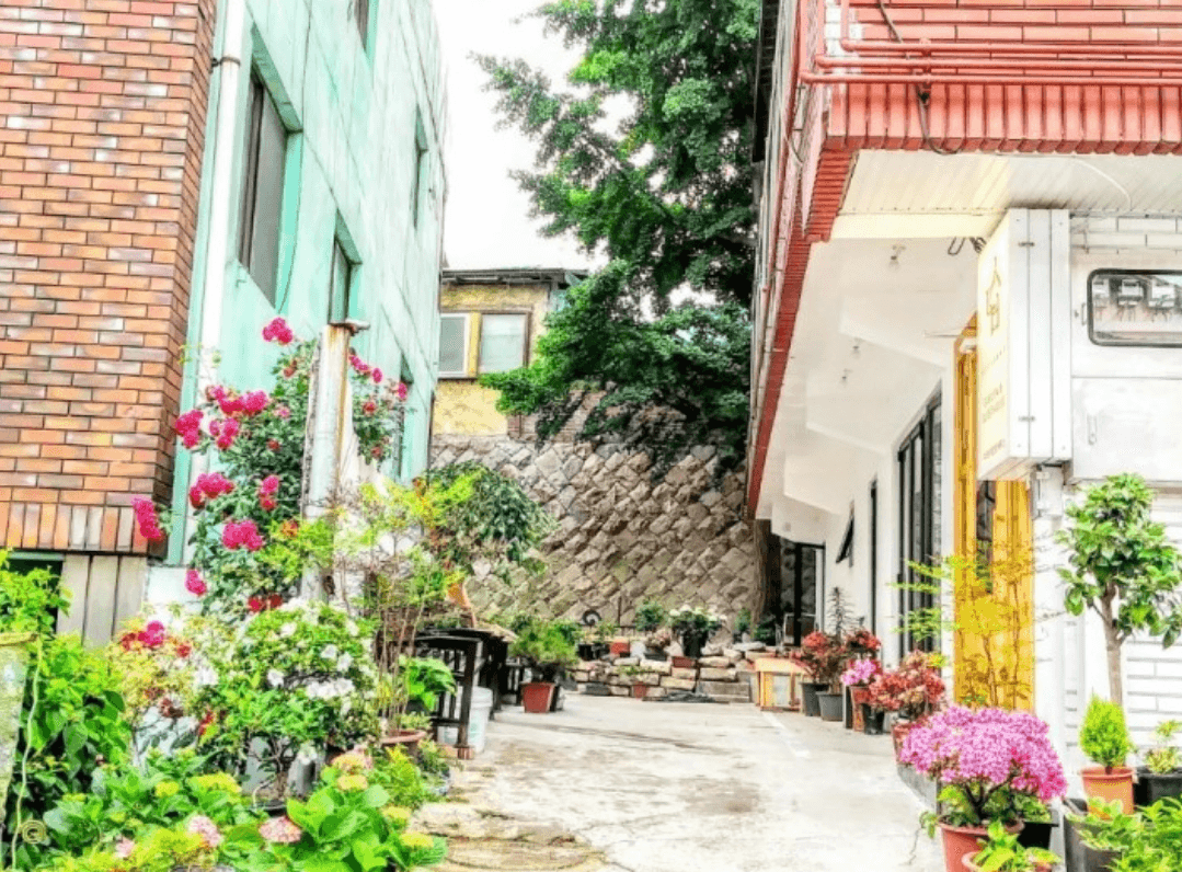 (주)수다방 게스트하우스(목포게스트하우스수다방)