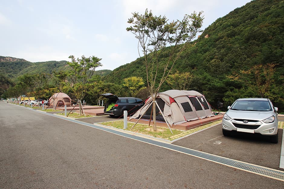 산꽃벚꽃마을오토캠핑장