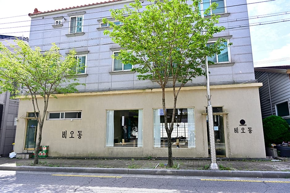 비오동