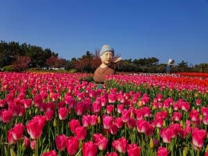 코리아플라워파크