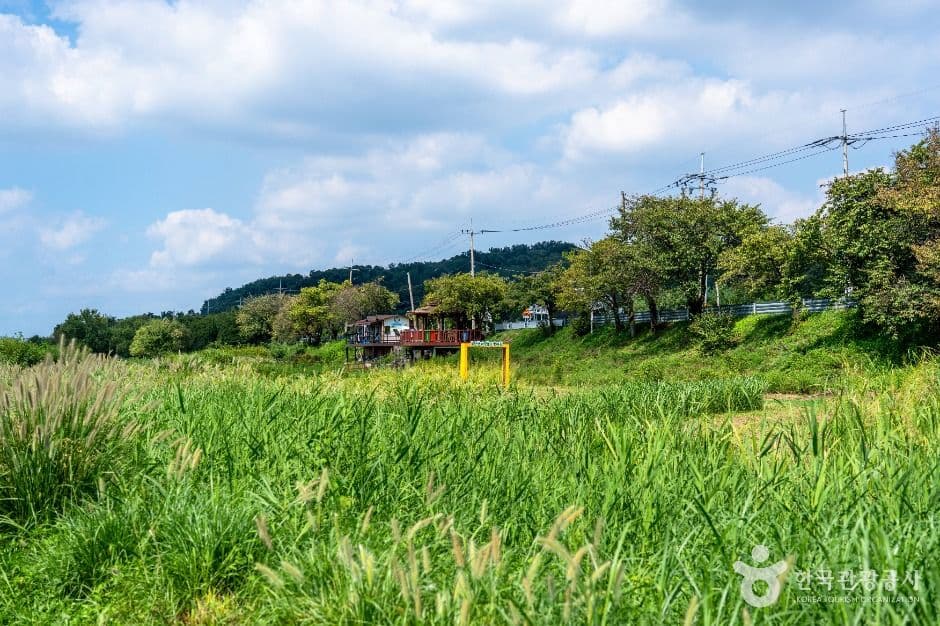 탄천민물고기습지생태원