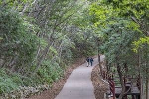 금산(남해)